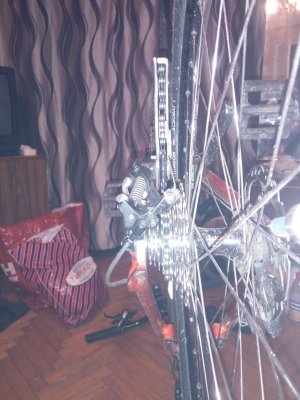 IMG_20160927_214940.jpg