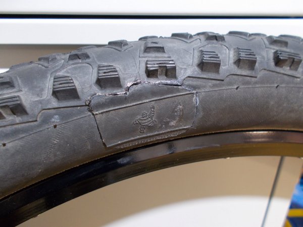 Schwalbe_Evolution_and_Michelin_.JPG