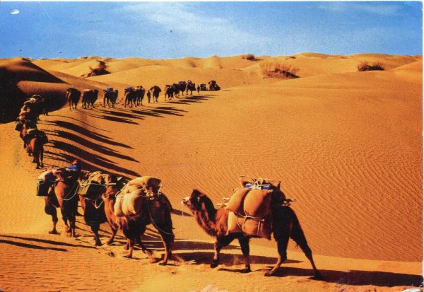china-xinjiang-desert-caravan.jpg