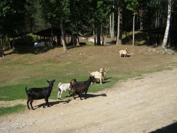 eesti2018_160_IMG_4395.jpg