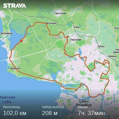 strava7974523299221186608.jpg