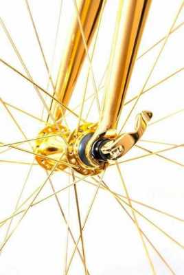 Gold-Plated Bicycles (2).jpg