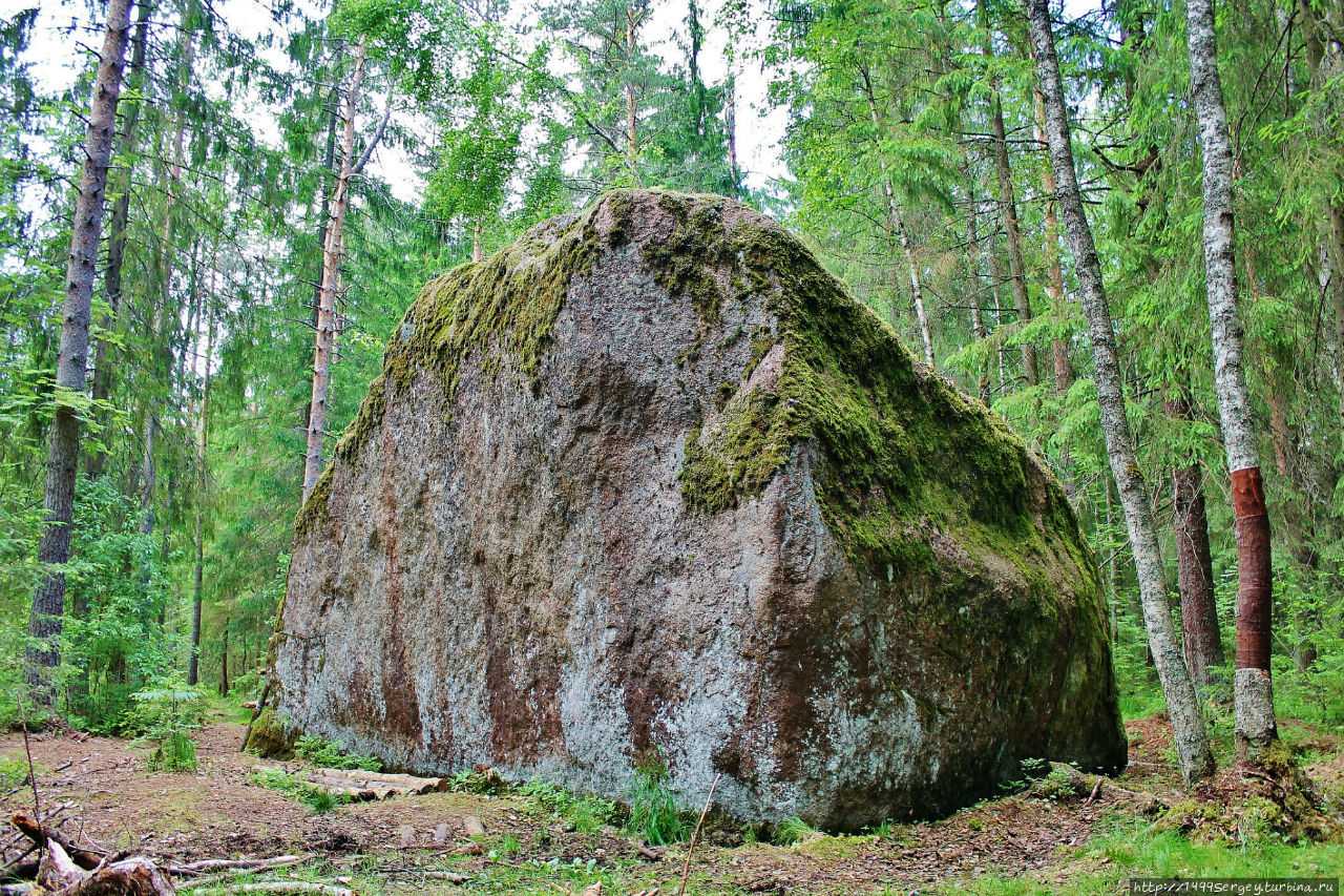 Место силы 1 выпуск. Камень Велеса в Волосовском районе. Велесов камень в Волосово. Велесов камень Ленинградская область. Капище Велеса в Волосово.