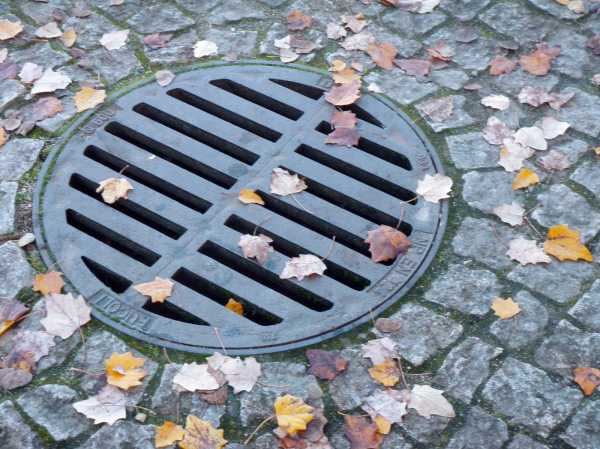 leaf-garden-manhole-road-surface-manhole-cover-man-made-object-36277.jpg