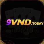 9vndtoday