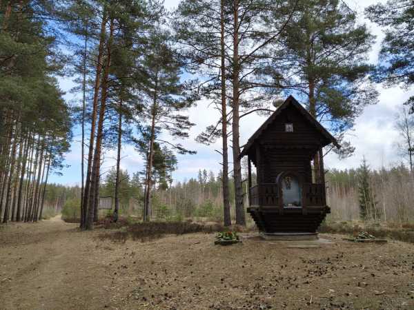 IMG20250405131733.jpg