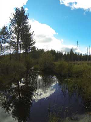 G0333014.JPG