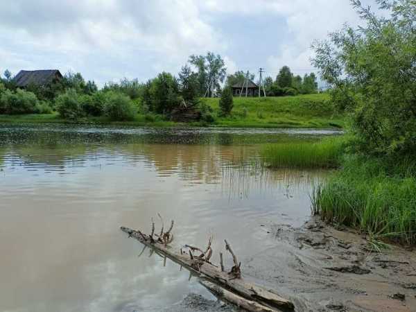 IMG20250630102839.jpg