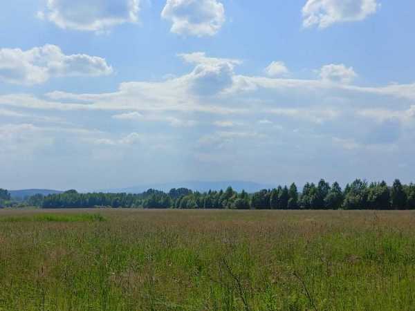 IMG20250701153256.jpg