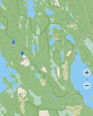 Screenshot_20260729-154357_Russian Topo Maps.jpg
