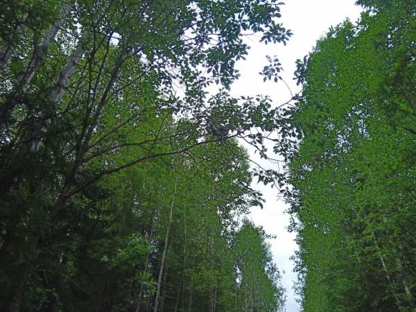 IMG_20260714_113514_729.jpg