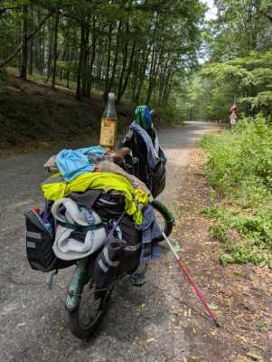 PXL_20260702_105706482.MP_copy_614x816.jpg
