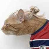 NicolasSnake